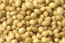 Cumin Seed and Coriander seeds