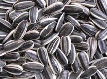 High Quality Sunflower Seeds