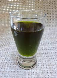 Hemp Seed Oil