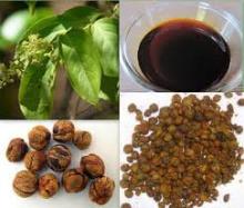 Malkangni Oil