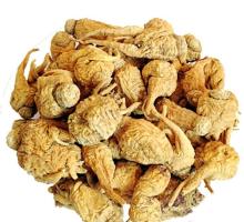 organic maca powder,maca root powder,maca powder