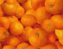 citrus fruit baby mandarin orange