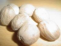 Nutmeg Without Shell