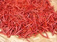 Dry Red Chilli