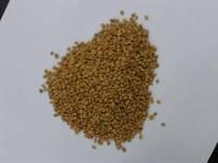 Fenugreek For Sale