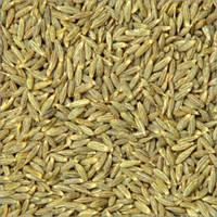 High Quality Cumin Seeds Available