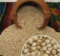 White  Quinoa 