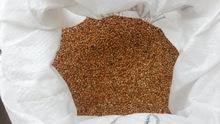 Yellow  Broom   Corn   Millet 
