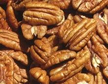  Pecan   Nuts 