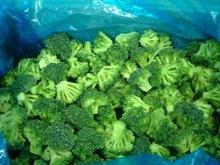 IQF Broccoli For Sale