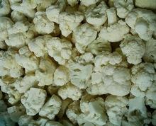 IQF  Frozen  Cauliflower Ready For Export