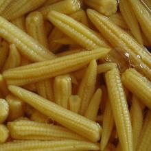 Canned Baby Corn