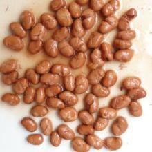  Canned   Broad   Bean s