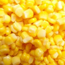 Canned Sweet Corn