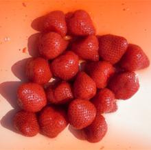 Canned Strawberry in Light Syrup