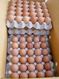 TOP QUALITY CHICKEN FRESH BROWN / WHITE TABLE EGSS FOR HUMAN CONSUMPTION