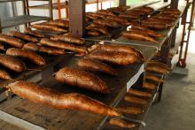 CASSAVA