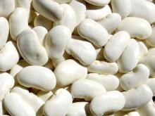large white kidney bean