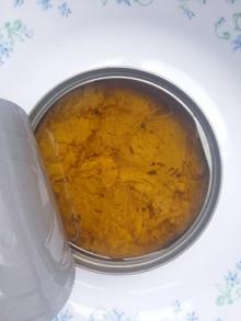 Canned tuna Chunk in olive oil