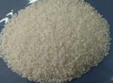 vietnam short round rice,japonica round rice,susi rice