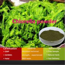 Organic chlorella powder