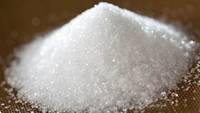 Refined White  Sugar   best   price 