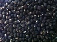 Ukraine Black Matpe Beans