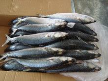 Hot China Products Wholesale Frozen Fish Prices,Fish Food,Frozen Fish