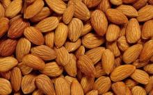 Best Quality Almond Nut