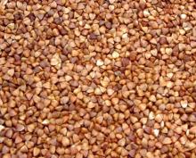 Roasted Buckwheat