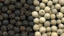 Best Quality Black and White Pepper