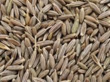 Best Quality Black Cumin Seeds at affordable Prices