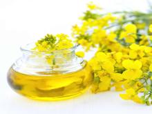  Rape  seed   Oil 