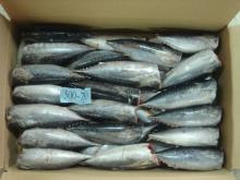bonito HGT