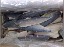mahi fillets