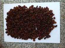 Dark Sultana Raisin
