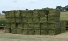 Alfalfa Hay Pellets and Bales
