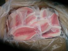Frozen Tilapia Fillet IVP