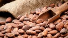 Whole sale   Cocoa   Beans  For  Sale 