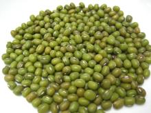 Fresh green mung beans for sale