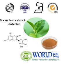 Chinease supplier 100% Natural Green Tea Extract Tea Polyphenols with EGCG green tea extract powder