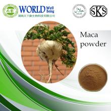 China supply Maca Root Extract powder For Herbal Sex improvement Powder Product