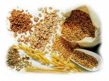 Grains: barley, wheat, soya