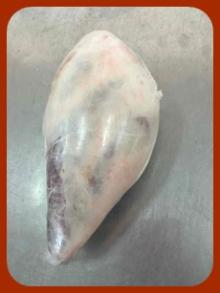 frozen halal lamb