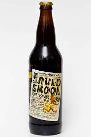 brazil skol beer