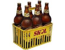 Skol Brazilian Beer