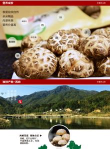 Xixia  dried  flower shiitake mushroom