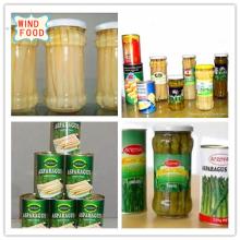 canned asparagus in high quality and great  taste 