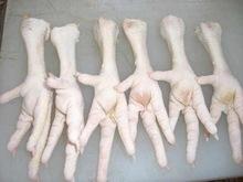 Top Quality Frozen Chicken feet