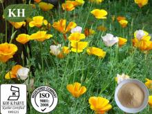 California poppy extract:  Alkaloid s 0.8% HPLC